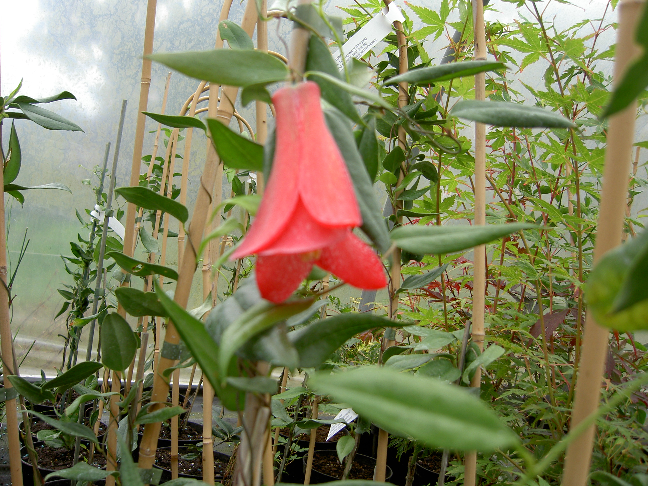 PICT1315.JPG