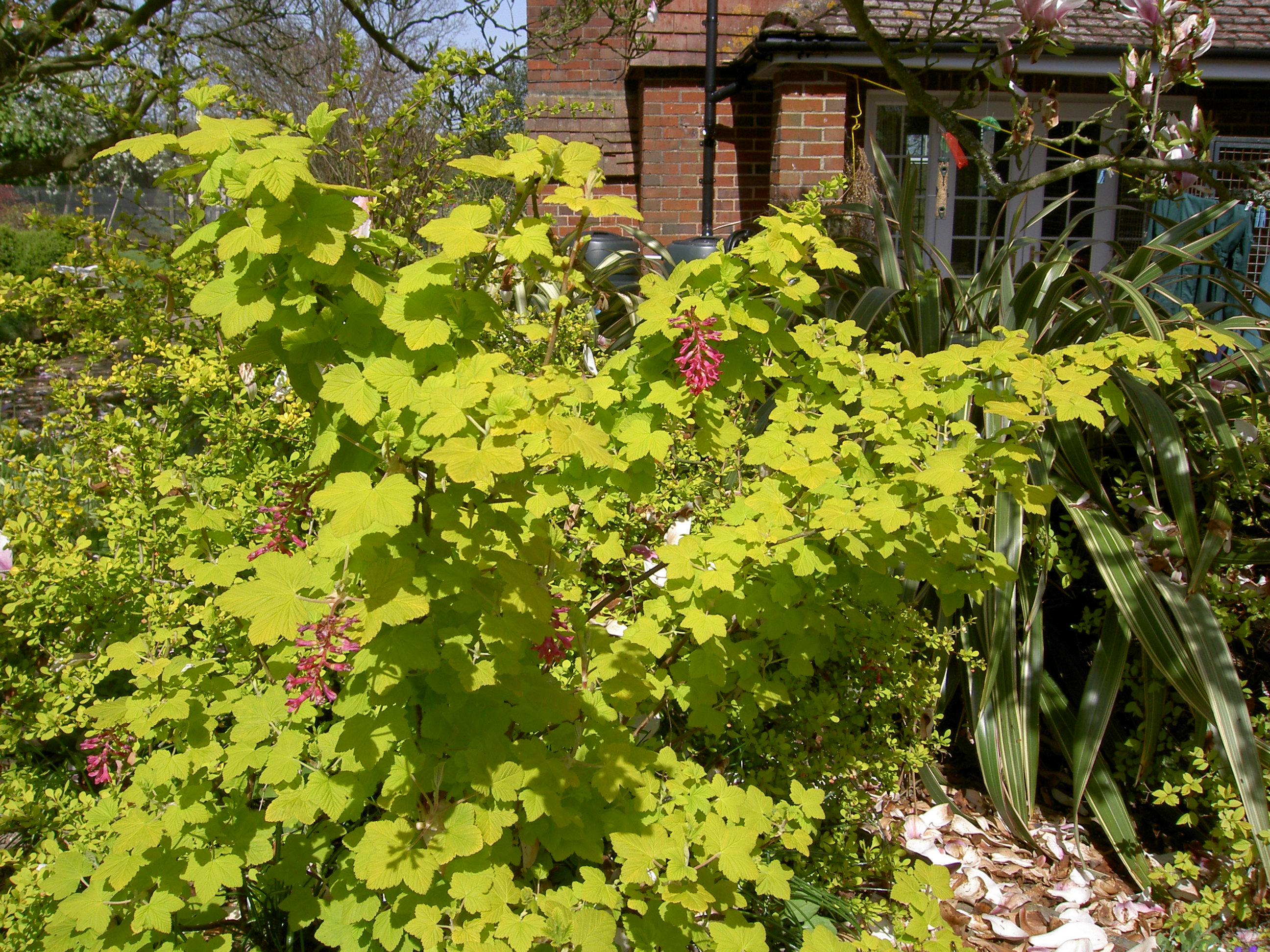 pict0128.jpg